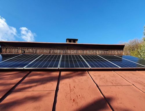 Michal S. ( Cloned )